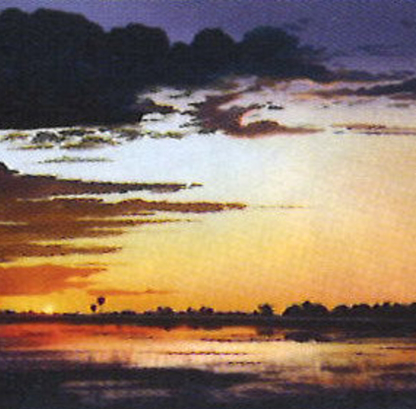 セイロンの湖(1996)